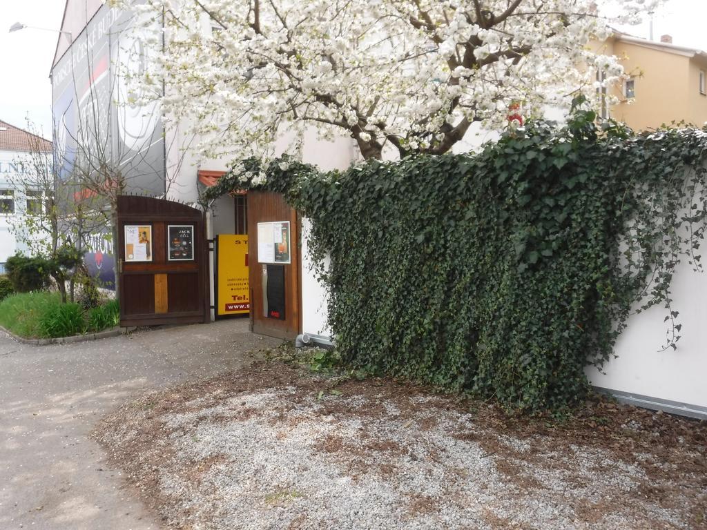 Pension Macelis Ceske Budejovice Bagian luar foto